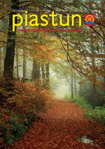 Read more about the article PIASTUN 5/2015