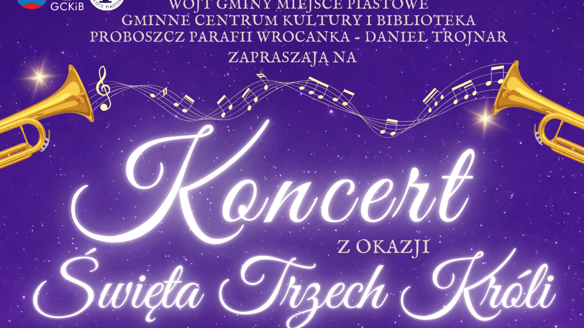 Pink And Black Modern The Concert Experience Poster (2)