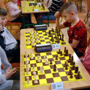 szchy_rogi.07