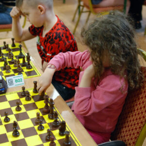 szchy_rogi.08