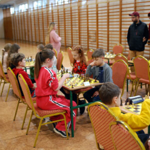 szchy_rogi.09
