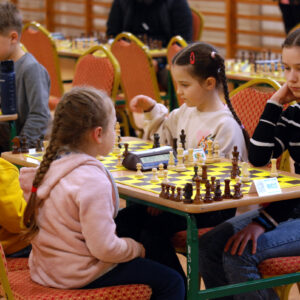 szchy_rogi.15