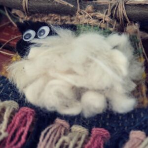 _DSF5615