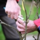 _DSF8690