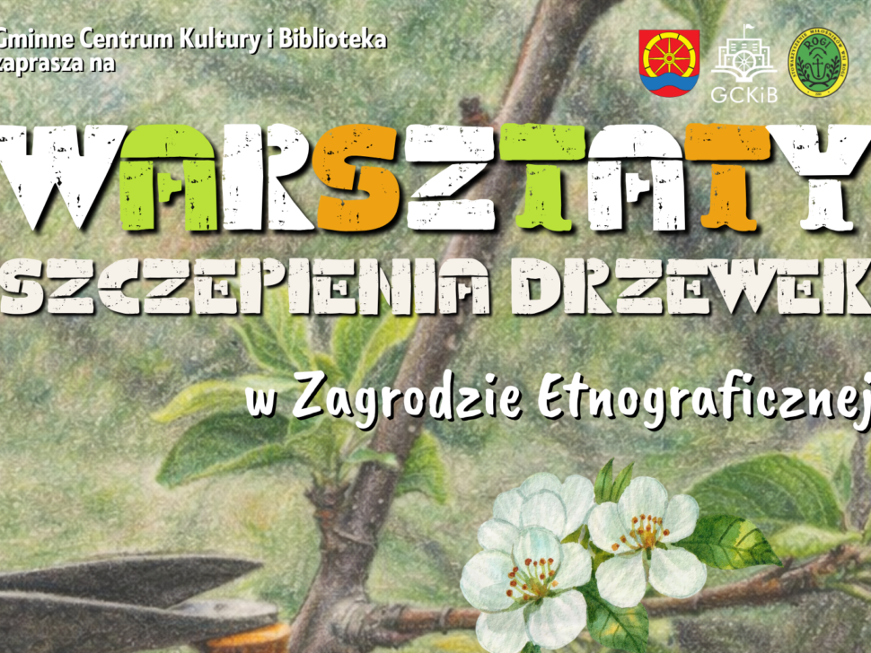 drzewka